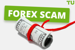 Forex scam, forex, forex scammer, forex trading, forex scam, forex scams, forex signals, forex trader, forex for beginners, forex trading scams, is forex a scam, how to trade forex, is forex scam, trading forex, forex lifestyle, forex trading scam, is forex trading a scam, forex education, forex scammers, forex trading for beginners, learn forex, forex fraud, forex trading live, scammer, forex course, forex market, forex trading scammer, forex scammer exposed, scam forex,