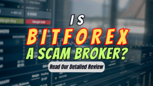 BitForex, BitForex review, BitForex scam, BitForex broker review, BitForex scam broker review